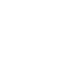 ce logo Revere