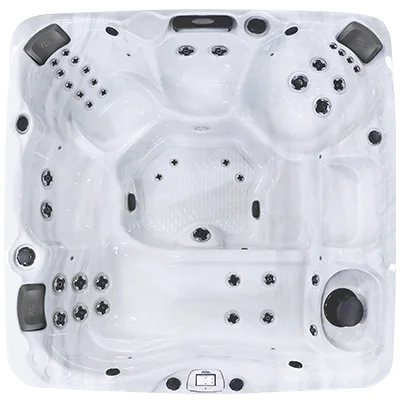 Avalon-X EC-840LX hot tubs for sale in Revere