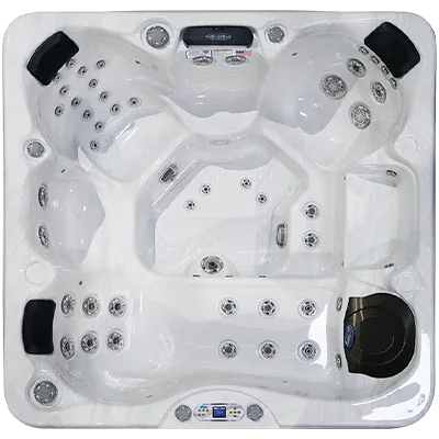 Avalon EC-849L hot tubs for sale in Revere