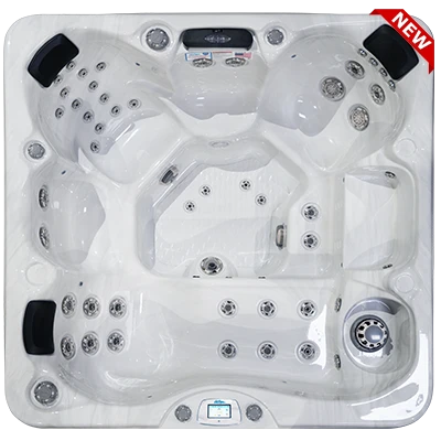 Avalon-X EC-849LX hot tubs for sale in Revere