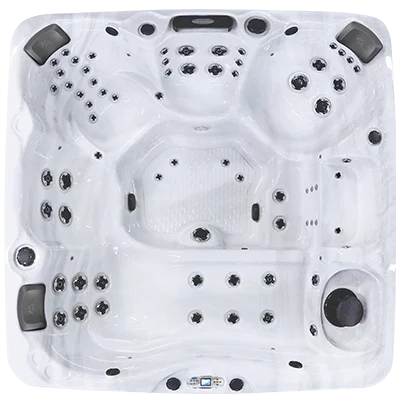 Avalon EC-867L hot tubs for sale in Revere